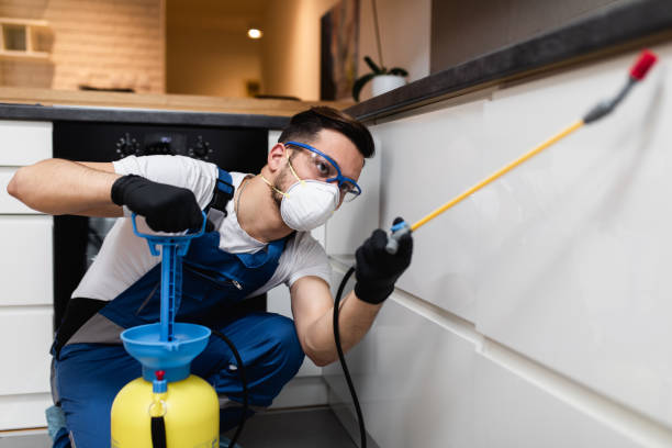 Best Cockroach Control Services  in Cherryville, NC
