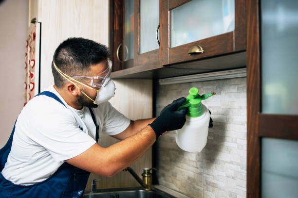  Cherryville, NC Pest Control Pros
