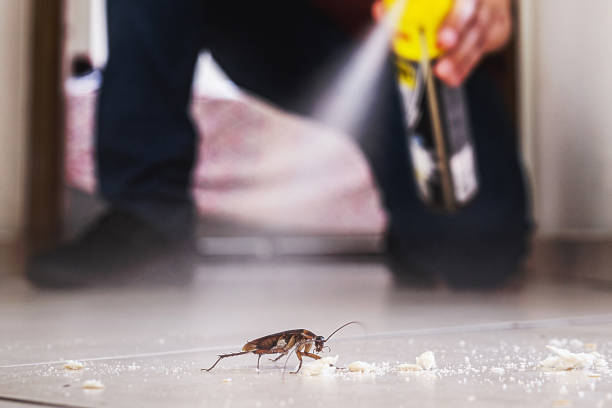 Best Pest Removal Services  in Cherryville, NC